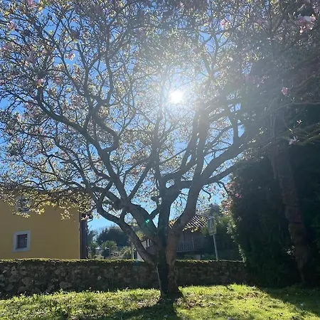 度假居 Picos - Con Jardin *