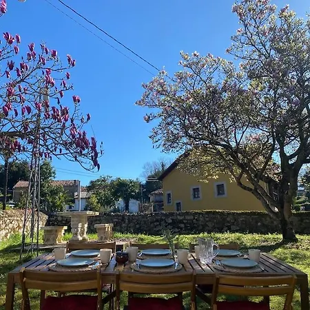 Picos - Con Jardin 度假居 Bricia