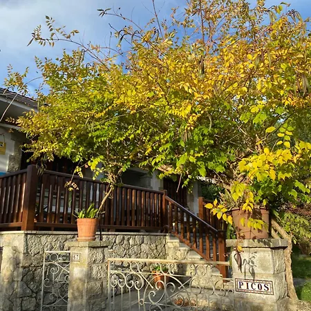 Picos - Con Jardin بيت للعطل *