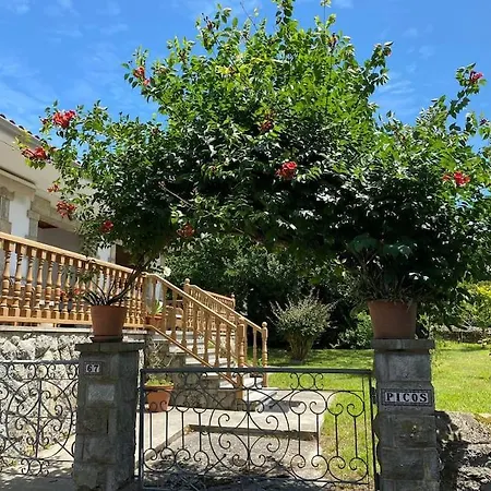 Nyaraló Picos - Con Jardin *